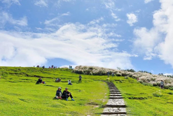 【台北】2,990起 美麗台灣系列 ~ 台北陽明山、大稻埕、觀光巴士、春天溫泉酒店2天